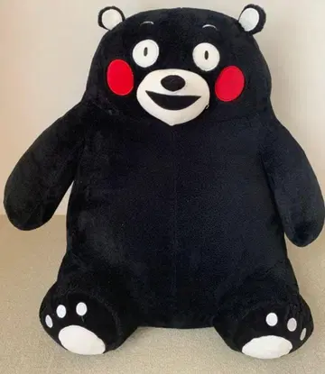 쿠마몬 코스트코 약 65cm