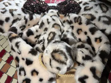 디즈니 레오파드 무늬 미니 팬캡 2025 베이지