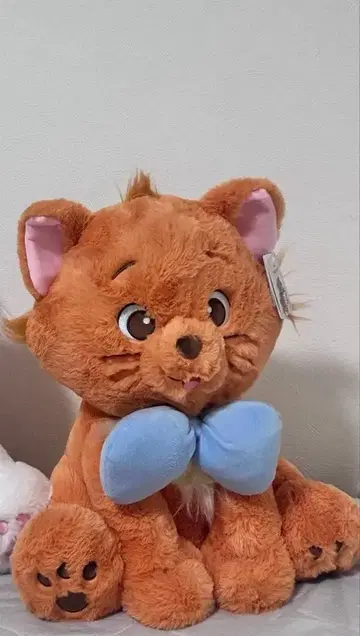 코스트코 오샤레 캣 봉제 인형 약 50cm 툴루즈