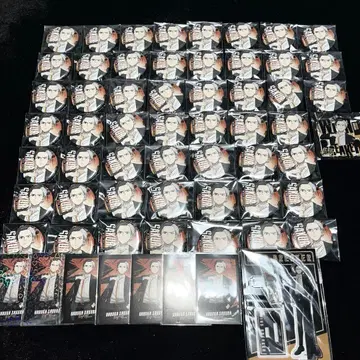 WIND BREAKER 윈브레 수트ver 사쿠라 하루카