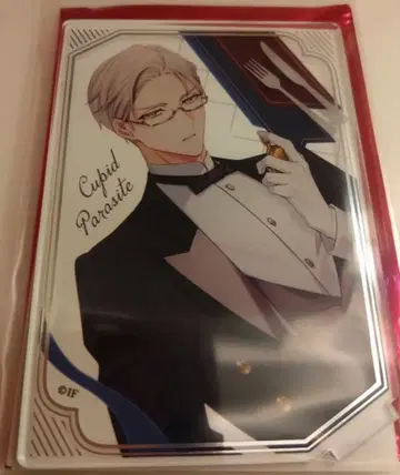 쉘비 큐피파라 아크릴 스탠드 오토메이트 마켓