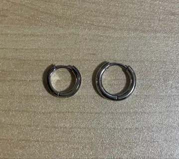 LION HEART 후프 귀걸이 2개 써지컬 스테인리스