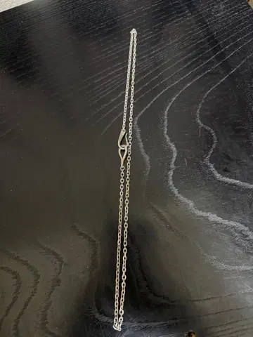 LARRY SMITH 체인 50x2.5 사이즈