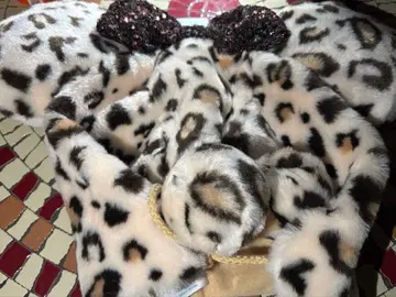 디즈니 레오파드 무늬 미니 팬캡 2025 베이지