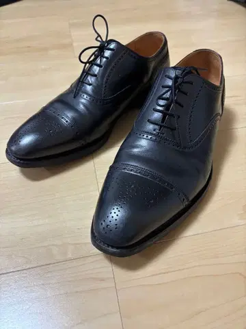 스코치 그레인 2770 샤인 오어 레인 26cm