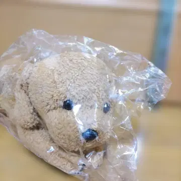 토이 푸들 봉제 인형 약 30cm