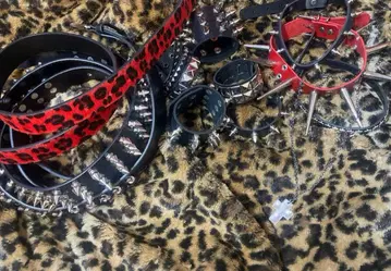 초커, 리스트 밴드, 목걸이, 벨트 등