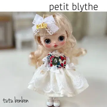 미니 브라이스 의류 (2026 헤어핀 덤 포함)