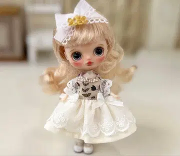 미니 브라이스 의류 (2026 헤어핀 덤 포함)