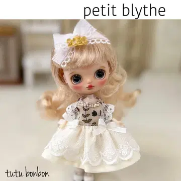 미니 브라이스 의류 (2026 헤어핀 덤 포함)