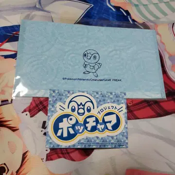 팽도리 와시 마스크 케이스