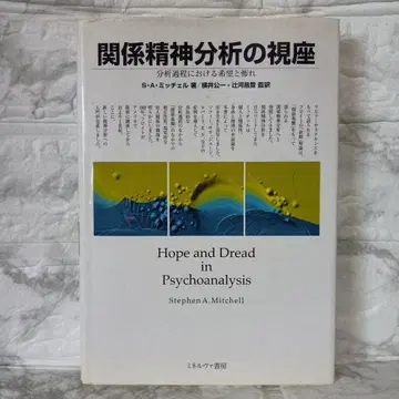 관계 정신분석의 시좌 : 분석 과정에서의 희망과 두려움