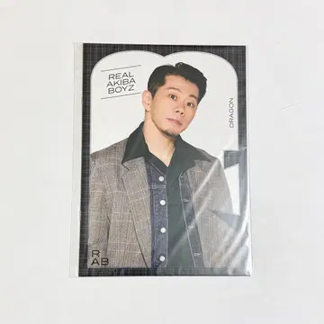리얼 아키바 보이즈 JUNON 복권 C상 사진집 DRAGON