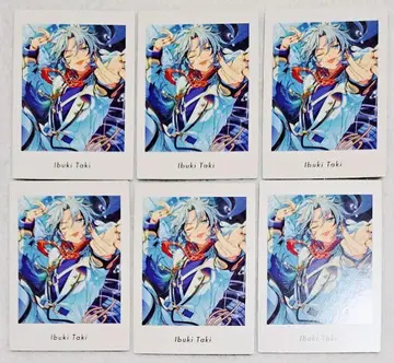 앙스타 타키 이부키 파샤츠 6점 묶음 판매