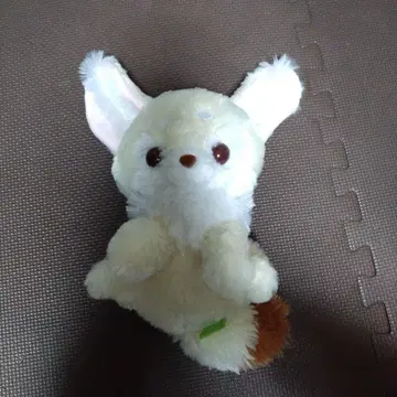 쵸콘과 여우 페넥 아기