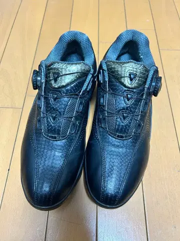 AXEL 골프화 블랙 27cm 골프 케이스 + 수납 봉투 포함