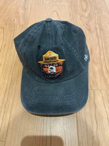 AMERICAN NEEDLE 스모키 베어 캡