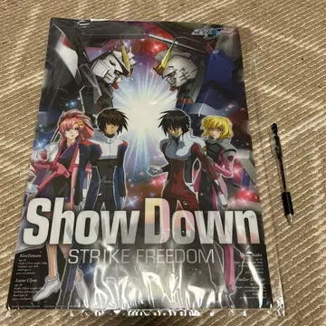 Show Down STRIKE FREEDOM 포스터