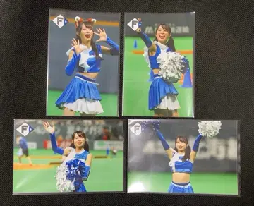 파이터즈걸 하이라이트 사진 시오자와 미사키 1 4장 세트