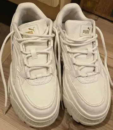 통굽 푸마 24cm 카르멘 X-TRA 04FROSTED IVORY