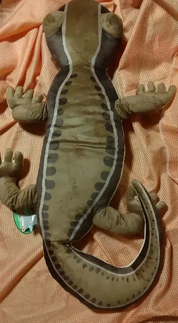 미사용 익명 배송 일본 줄장지 도마뱀 BIG 봉제 인형 도마뱀 빅 모리