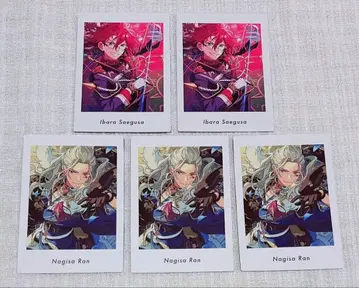 앙스타 사에구사 이바라 란 나기사 파샤츠