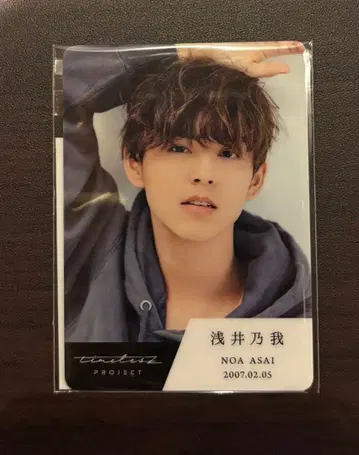 timeleszproject 타입  트레이딩 카드