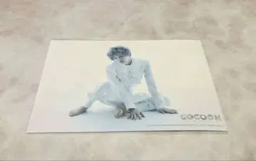 COCOON 혜택 브로마이드 아라키 히로후미 신키 히로노리