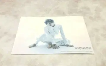 COCOON 혜택 브로마이드 아라키 히로후미 신키 히로노리