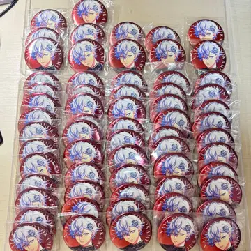 파라라이 캔뱃지 나유타