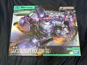 HG 1/144 릭 돔 지크 액스