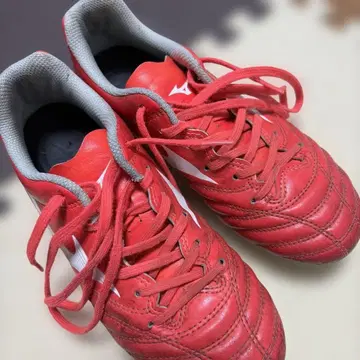 Mizuno 모나르시다 네오 22cm