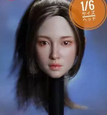 미사용 새상품 1/6 사이즈 커스텀 인형 미녀 헤드 심리스 피규어 등에