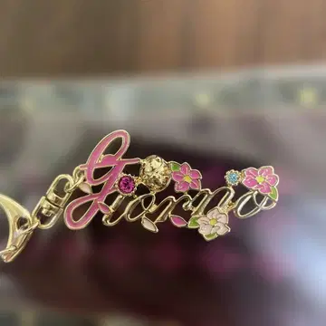 JOJO'S BIZARRE ADVENTURE Giorno 키링