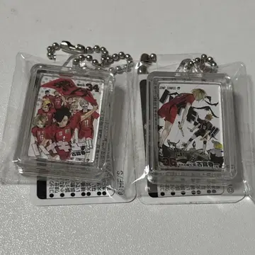 미개봉 하이큐 코믹 참 네코마