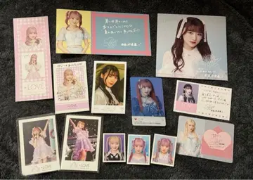 이코럽 사이토 지아라 총정리