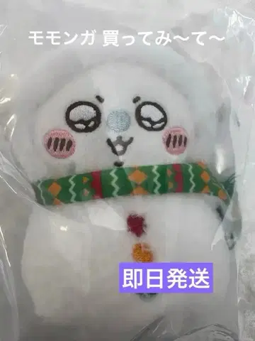 치이카와 에니마이 복권 E상 모몬가