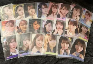 이코러브 오타니 에미리