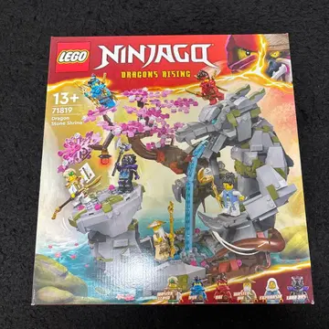 LEGO Ninjago 71819 드래곤 스톤의 폭포