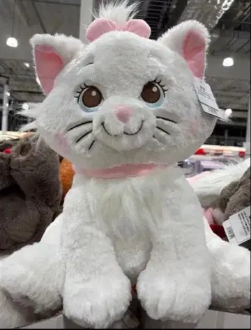 코스트코 오샤레 캣 마리 봉제 인형 약 50cm