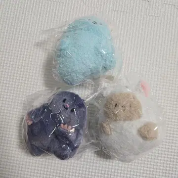 치라리즈 네즈치 모구치 히츠치