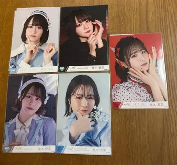 노이 오기 하나 브로마이드 컴프 묶음 판매