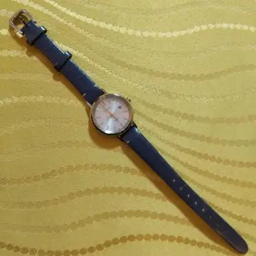 CASIO SHEEN 5584 SHS-D300