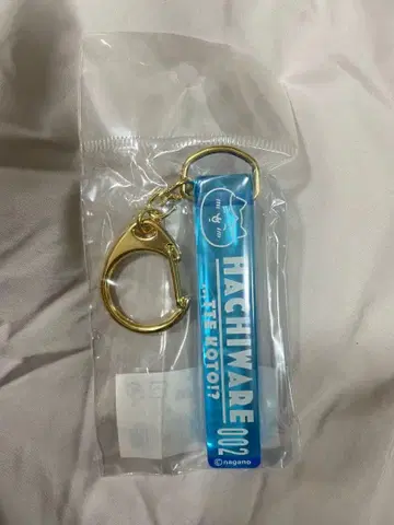 치이카와 호텔 키링 하치와레 치이카와 랜드