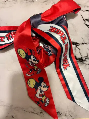 디즈니 Disney Cheer Together! 치어 투게더!