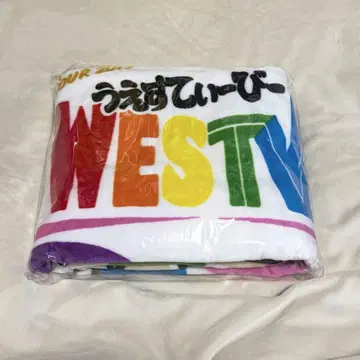 [ 익명 배송 ] WESTV 따뜻한 담요