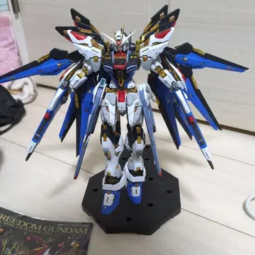 MGex 스트라이크 프리덤 건담 정크