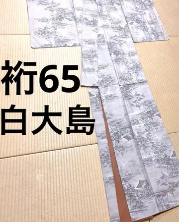 화이트 오시마 카타스식 9말