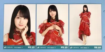 노기자카46 브로마이드 13thBD 라이브 의상2 카키 하루카 컴프