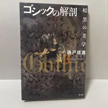 고딕의 해부 암흑의 미학